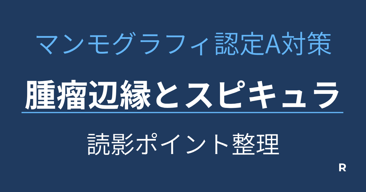 マンモ認定試験辺縁ポイントまとめ